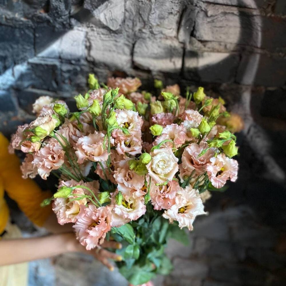 Букет из 15 персиковых эустом (лизиантусов) в стильной упаковке 