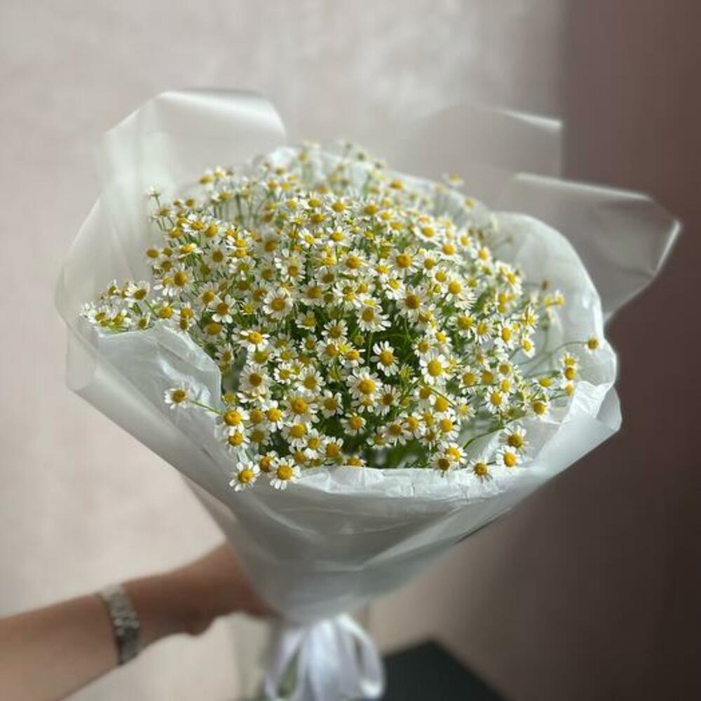 Букет из полевых, голландских ромашек (Матрикария)