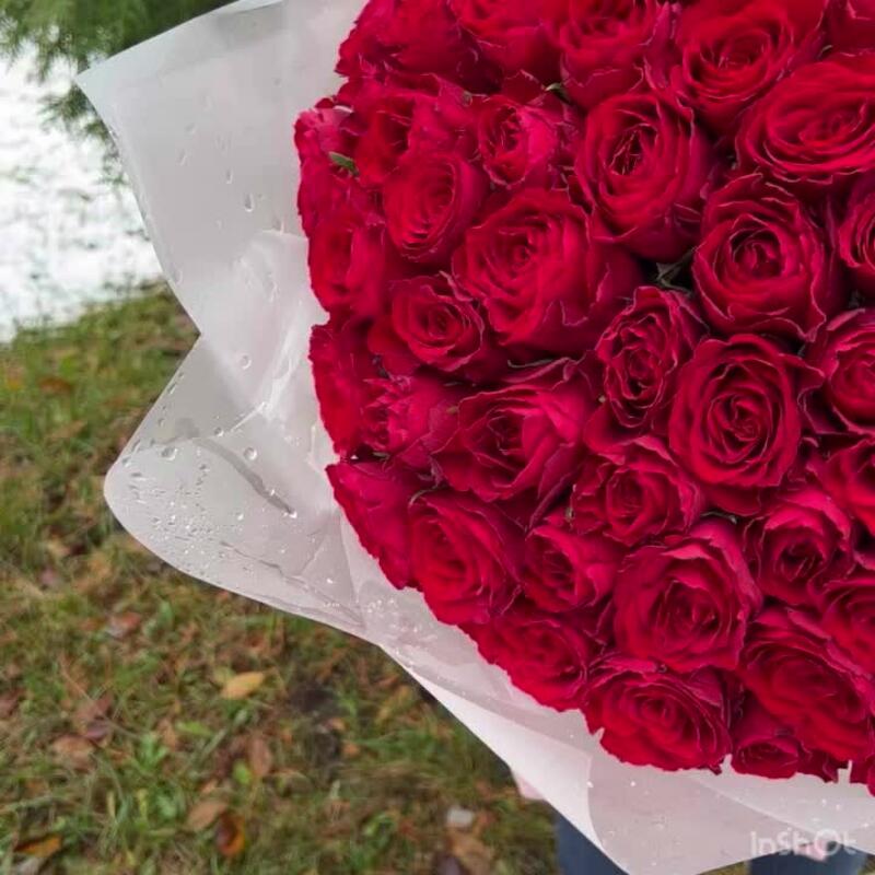 Букет из 101 красной розы (моно 023)