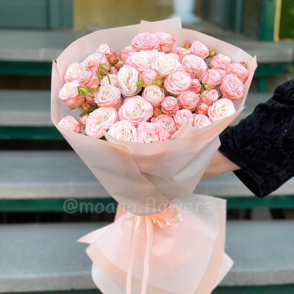 Пионовидные кустовые Bombastic