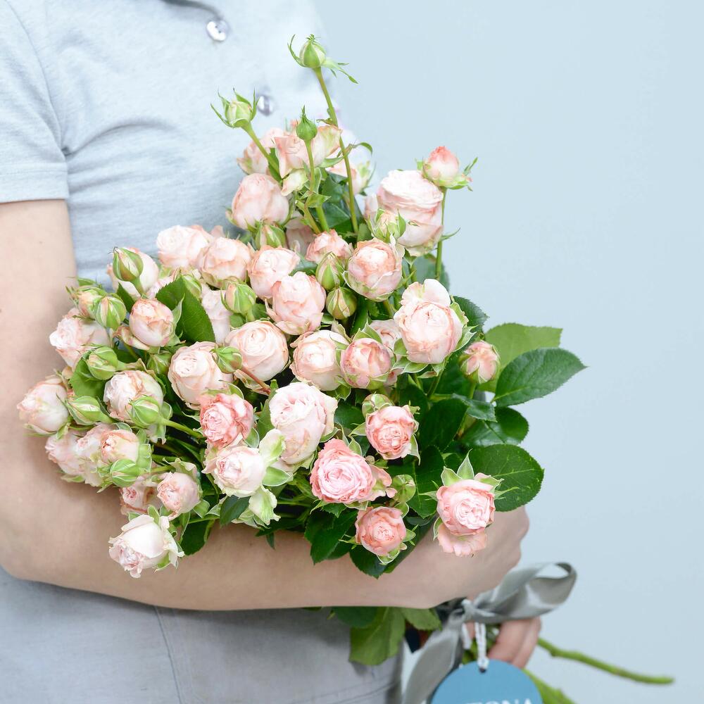 Кустовые пионовидные розы Bombasttic - Latona Flowers