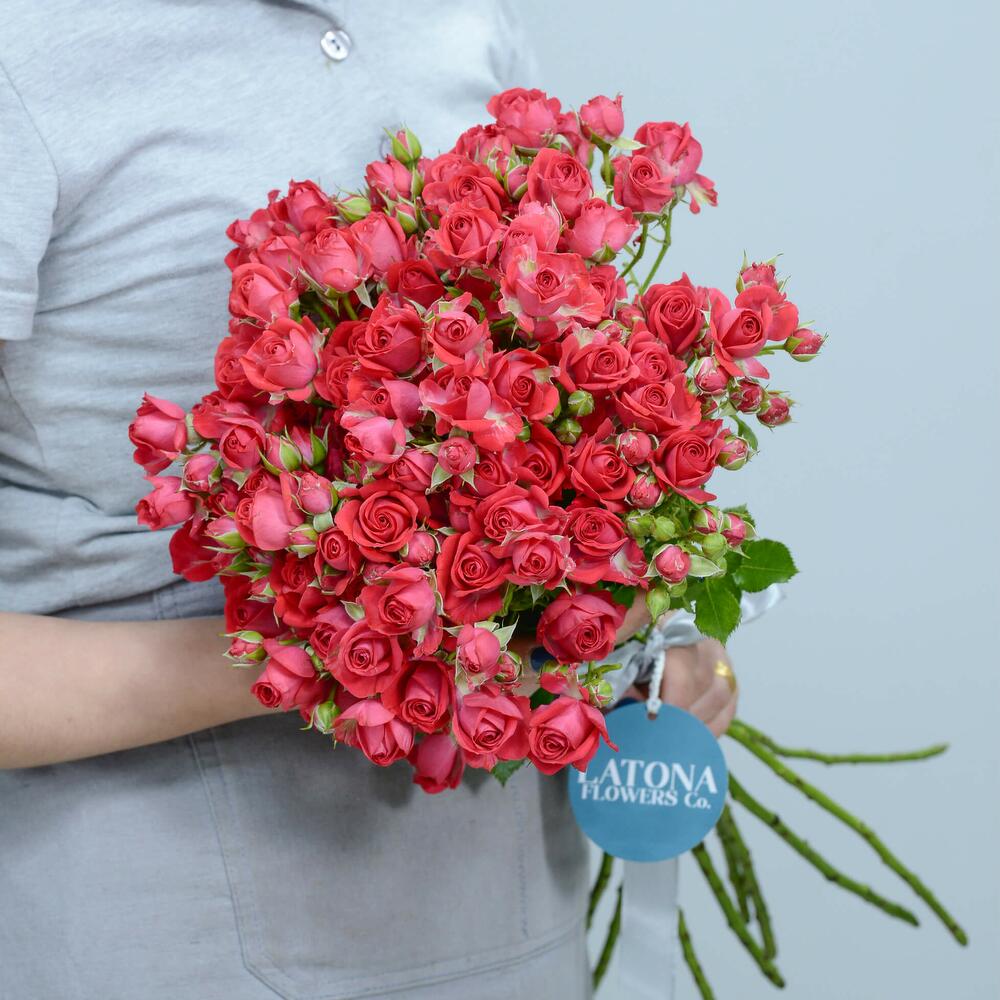 Кустовые розы Cherry Kheops - Latona Flowers