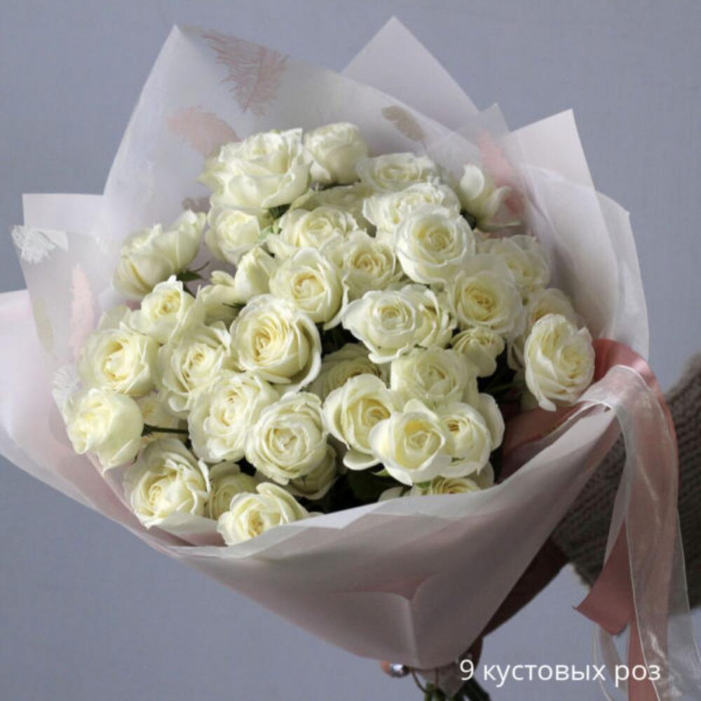 Мисс бомбастик