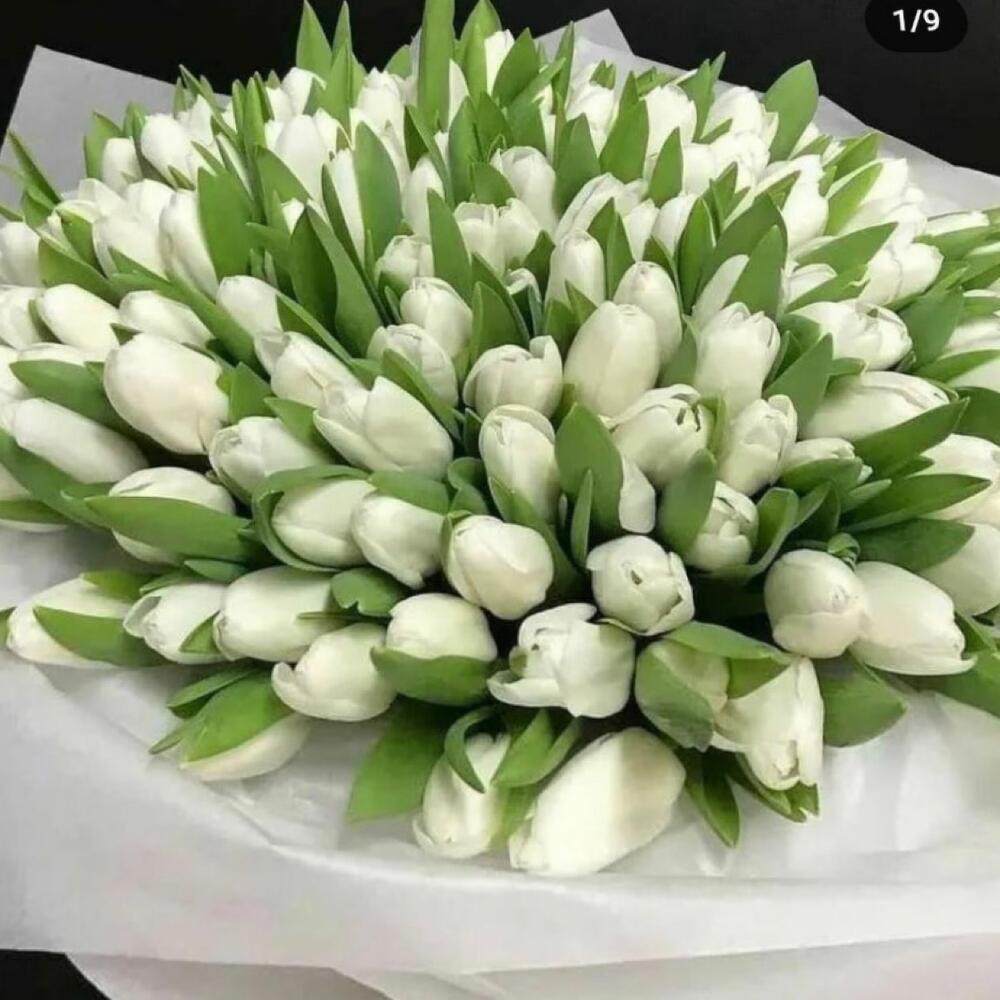 Коробка из 101 белых тюльпанов