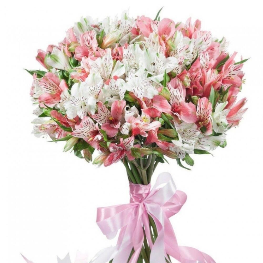 Альстрёмерия